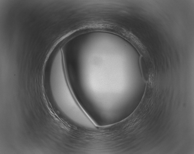 X0000084540724200702230907