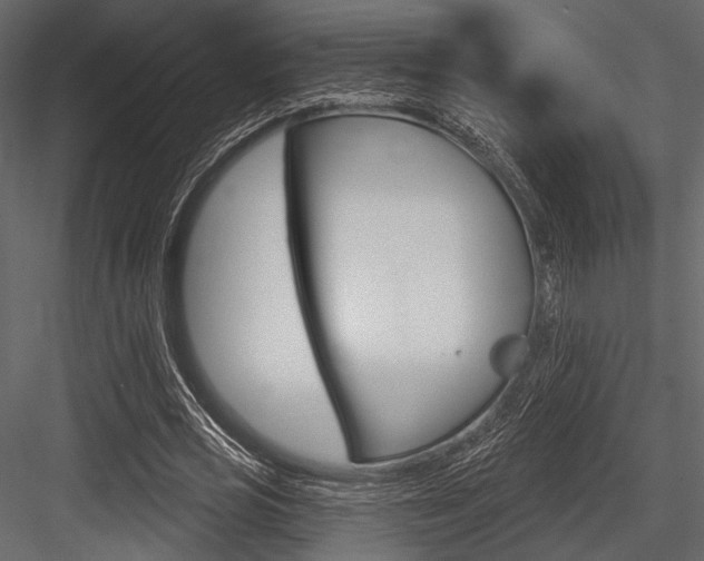 X0000084540725200702230907