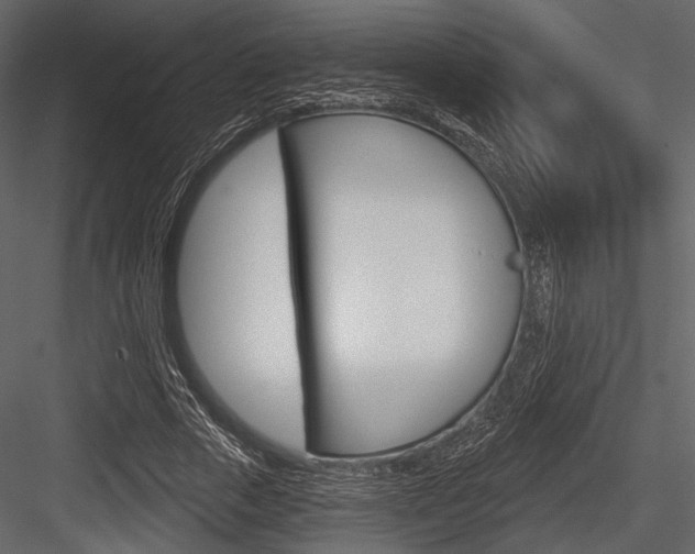 X0000084540729200702230908