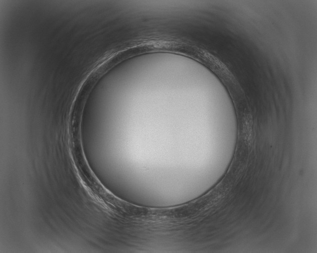 X0000084540730200702230908