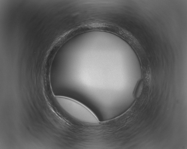 X0000084540732200702230908