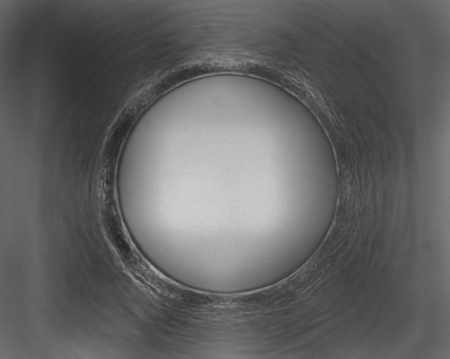 X0000084540736200702230908