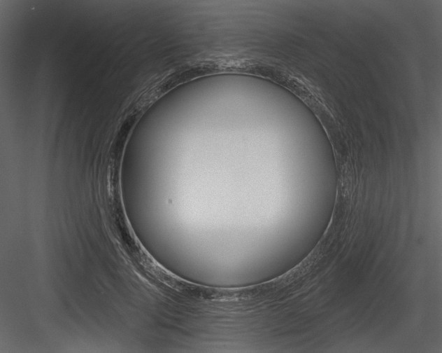 X0000084540740200702230908