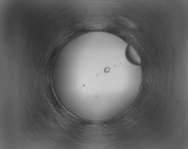 X0000084540743200702230908