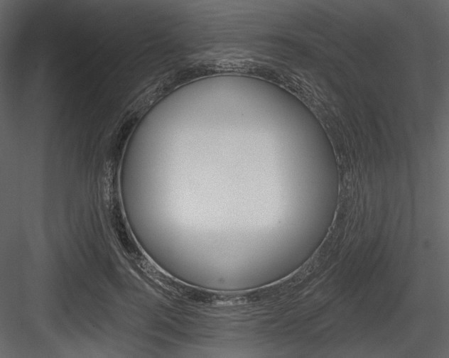 X0000084540744200702230908
