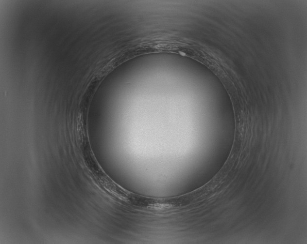 X0000084540748200702230908