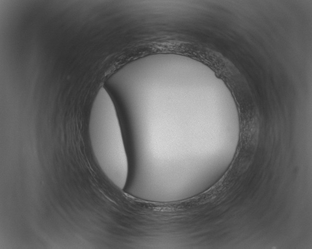 X0000084540749200702230908