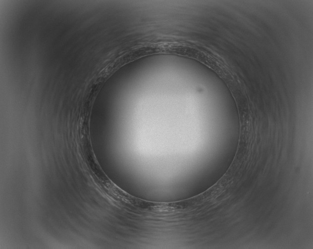 X0000084540750200702230908