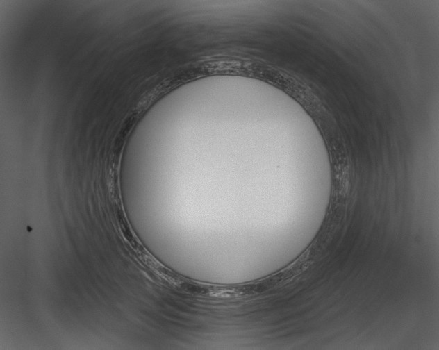 X0000084540753200702230908