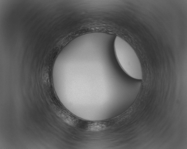 X0000084540754200702230908