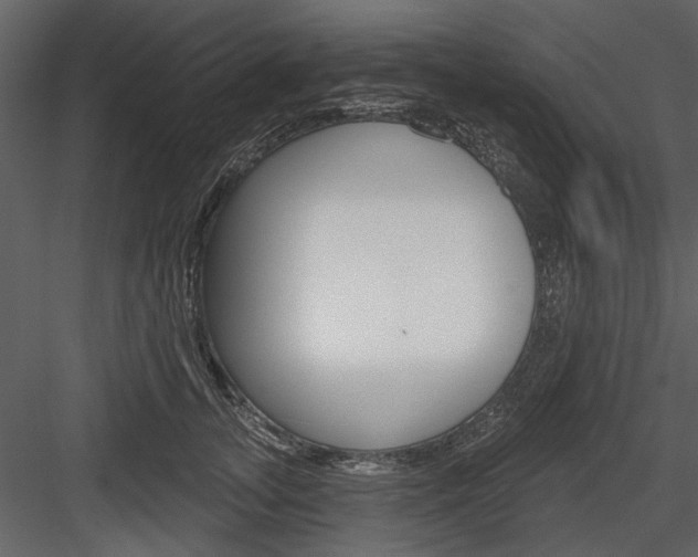 X0000084540755200702230908