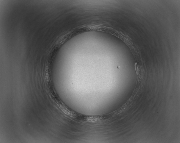 X0000084540762200702230908