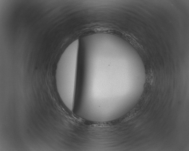 X0000084540763200702230908