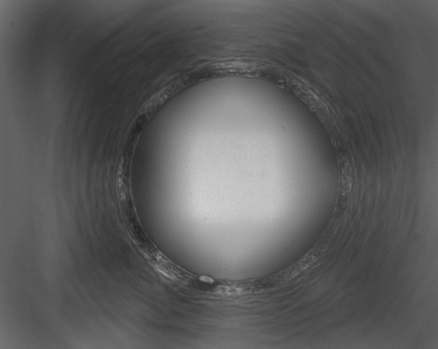 X0000084540764200702230908