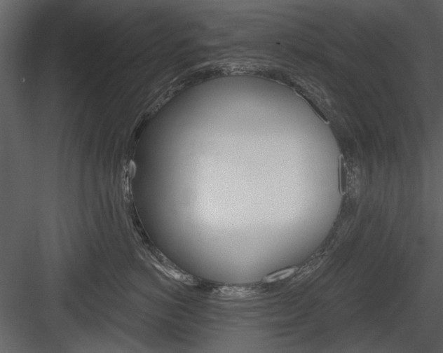 X0000084540766200702230908