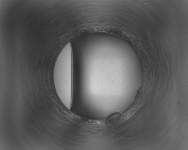 X0000084540768200702230908