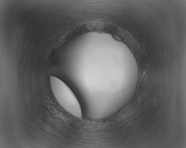X0000084540772200702230907