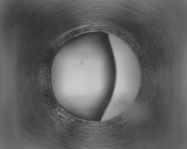 X0000084540773200702230907