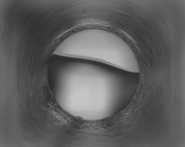 X0000084540775200702230907