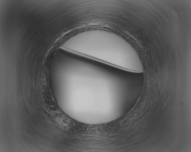 X0000084540776200702230907