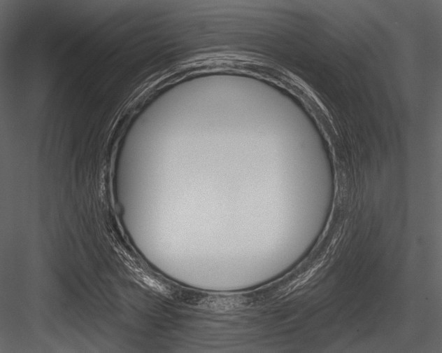 X0000084540778200702230907