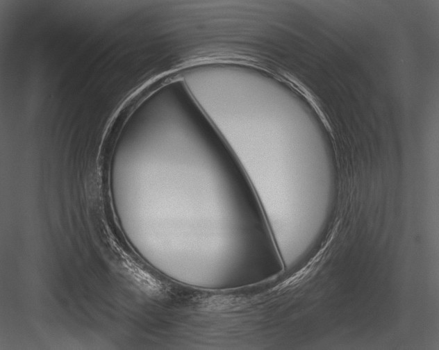 X0000084540779200702230907