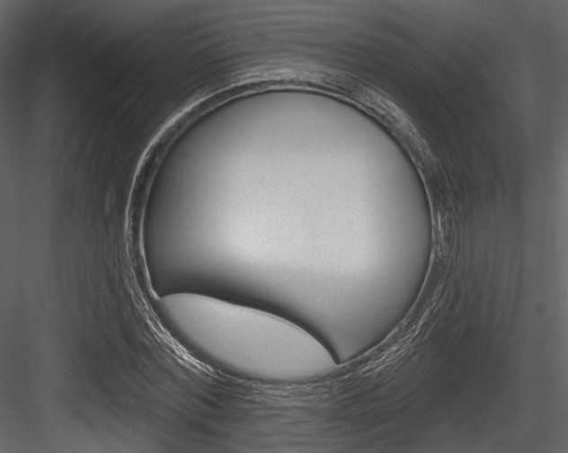 X0000084540780200702230907