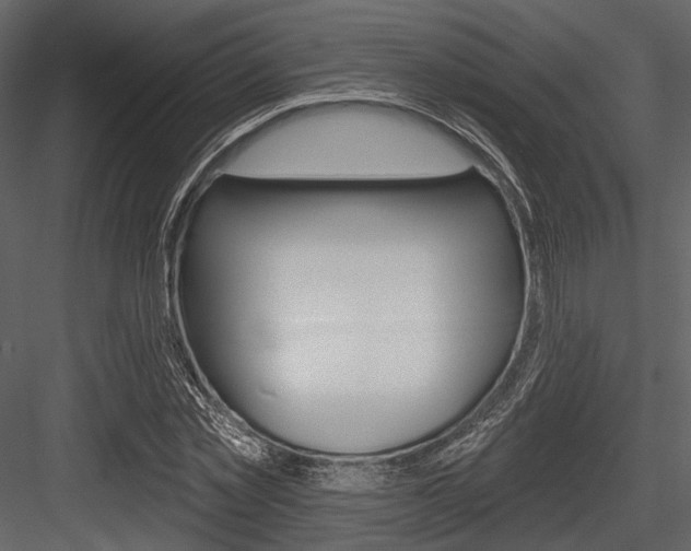 X0000084540781200702230907