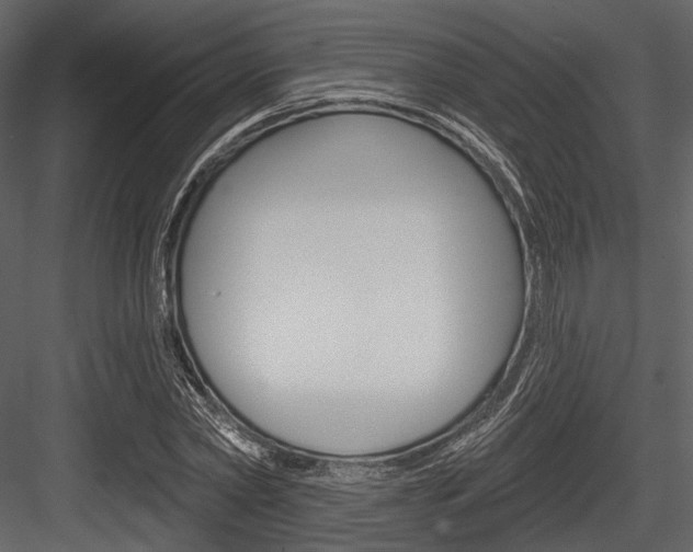 X0000084540782200702230907