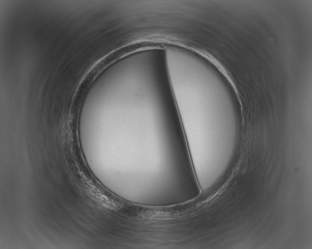 X0000084540783200702230907