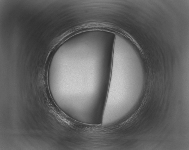 X0000084540786200702230907