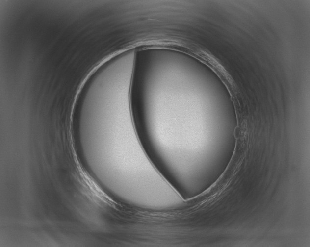 X0000084540787200702230907