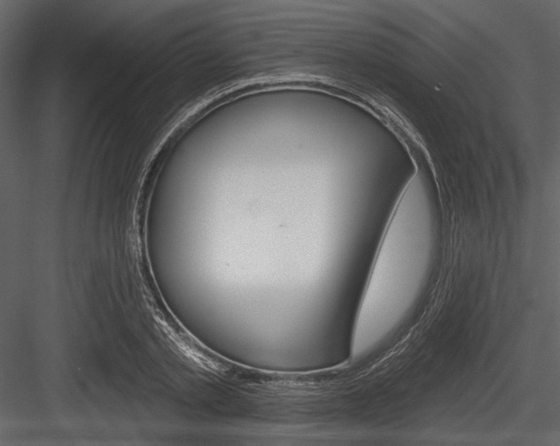 X0000084540789200702230907