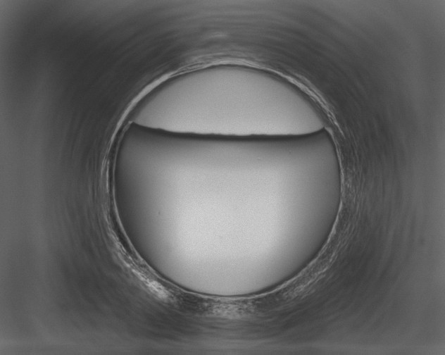 X0000084540790200702230907