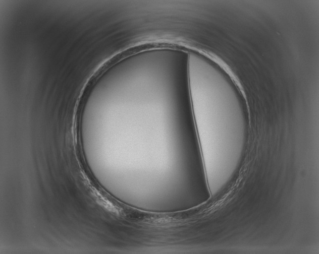 X0000084540791200702230907