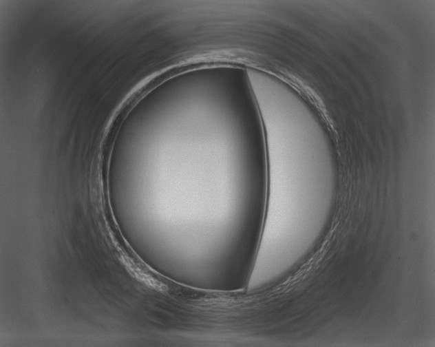 X0000084540792200702230907