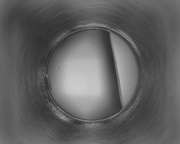 X0000084540793200702230907