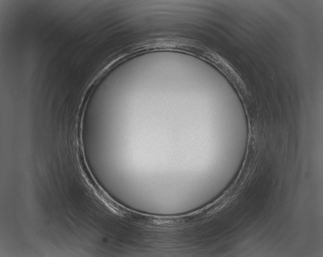 X0000084540794200702230907