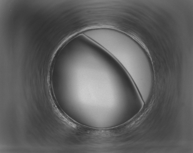 X0000084540797200702230907