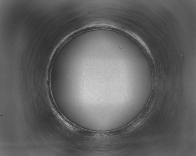 X0000084540799200702230907
