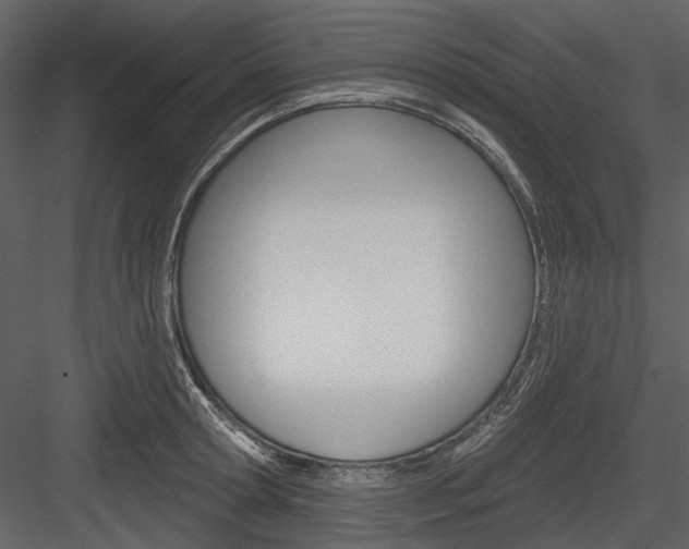 X0000084540802200702230907