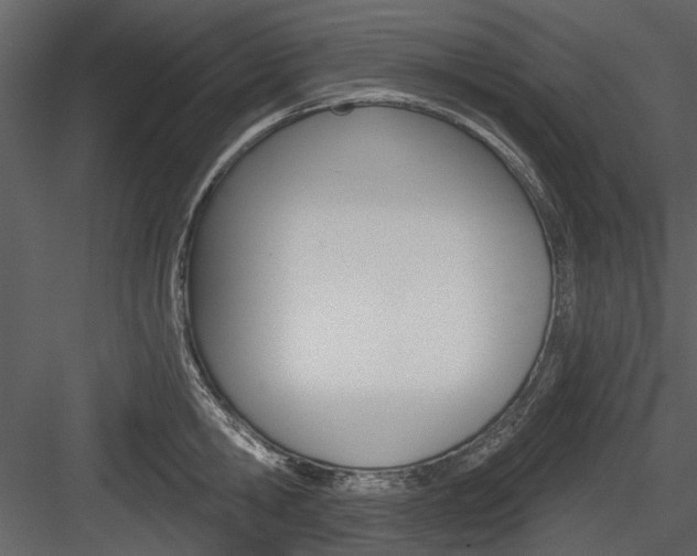 X0000084540806200702230907