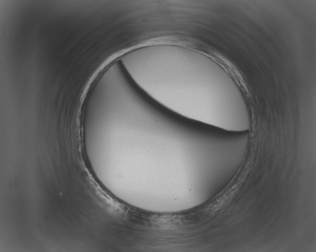 X0000084540808200702230907