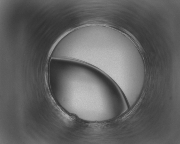 X0000084540812200702230907