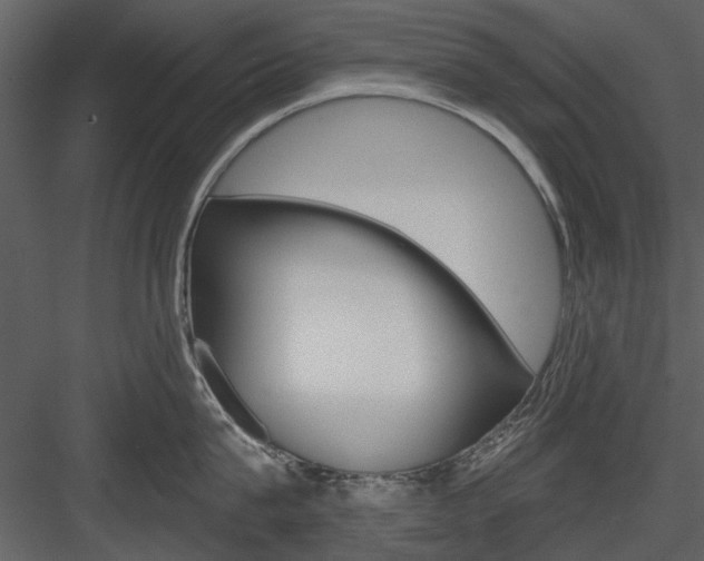 X0000084540815200702230907