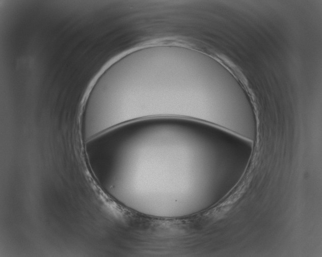 X0000084540816200702230907