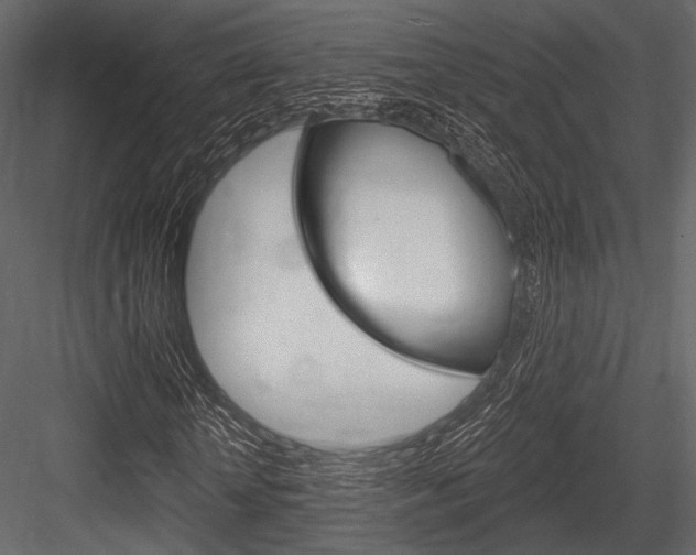 X0000084540818200702230906