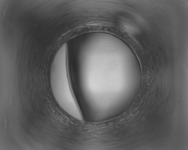 X0000084540821200702230906