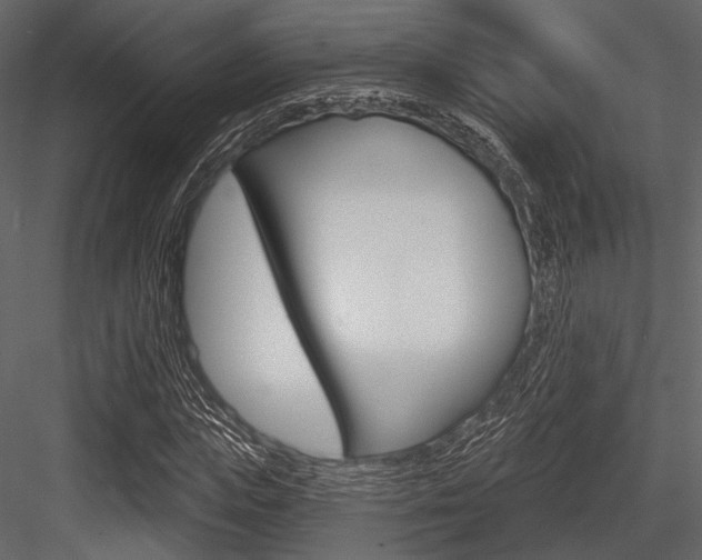 X0000084540823200702230906