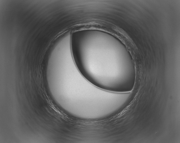X0000084540826200702230906